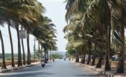 Parra Road 