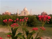 Taj Mahal From Mehtab Bag