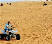 The Desert Safari 