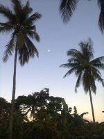 Sunrise In Our Kubo