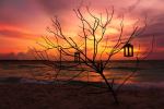 Maldives Sunset