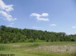 Landscape Beauty