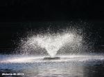Water Fountain Wonder