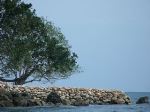 By The Sea