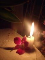 Flower And Fire