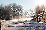 Morning Mist