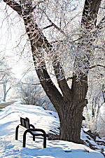 Icey Seat