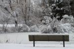 Winter Bliss