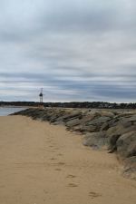 A Silent Walk