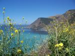 California Coastline