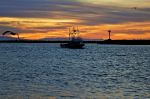 Boat Coming Into The Harbor