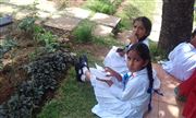 Girls