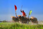 Buffalo Competition