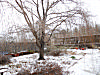 Snow In Georgia