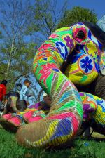 Elephant