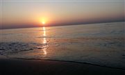 Morning Sunrise 