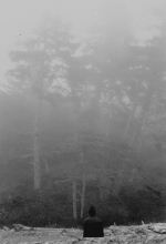 Contemplation In The Mist