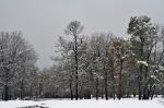 Winter In Hope