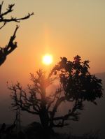 Sun Set 
