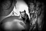 Squirrel Moment