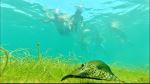 Aquatic Chupacabras