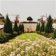 Nature Around The City 