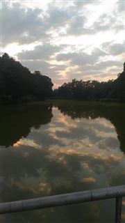 Speak With Clouds