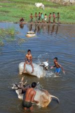 Enjoy Bathing Turn By Turn