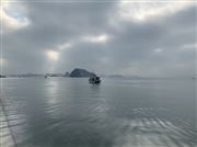 Boat In Vietnam