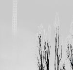 Fogg