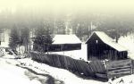 Houses In Winter