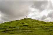 Freedom