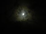 Shades Of Monsoon Night