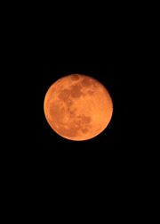 Orange Moon From My Balcony