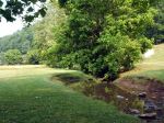 Calm Stream In Spring