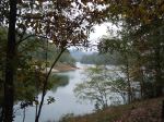 Lake Through The Trees