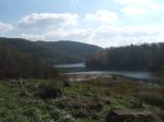 Lake View On A Nice Day