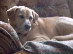 Maggie