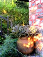 Pottery