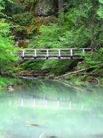Bridge Over  Misty Waters