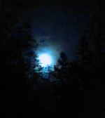 Moonlight