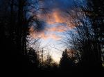 Walk On Trail