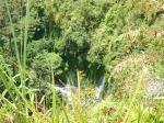 Gift Of Nature