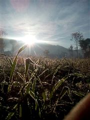 Winter Sun Rise