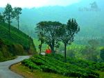 On The Way To Soojippara Wayanad Kerala