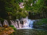 Nature Beauty