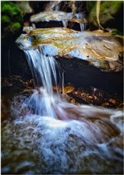 Nature Beauty