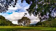 Nature Beauty