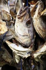 Dried Fish
