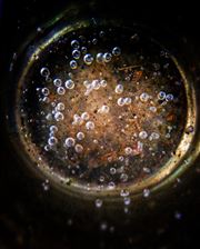 Life Inside A Bottle
